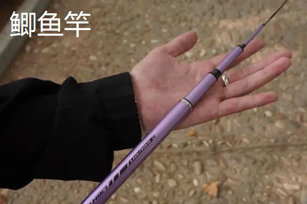 鲫鱼竿是什么，是专门为钓鲫鱼设计的鱼竿