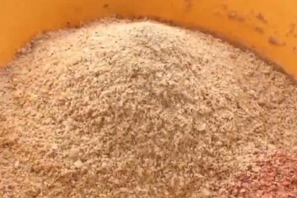天气突然升温能不能钓鲫鱼，天气突然升温垂钓鲫鱼就比较合适