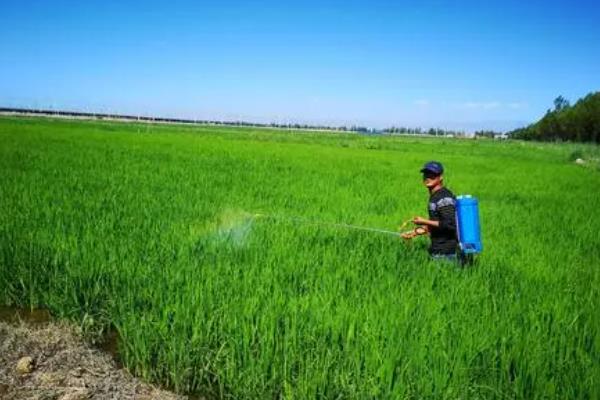 常见农药除草剂分类，可根据作用性质、作用方法等分类