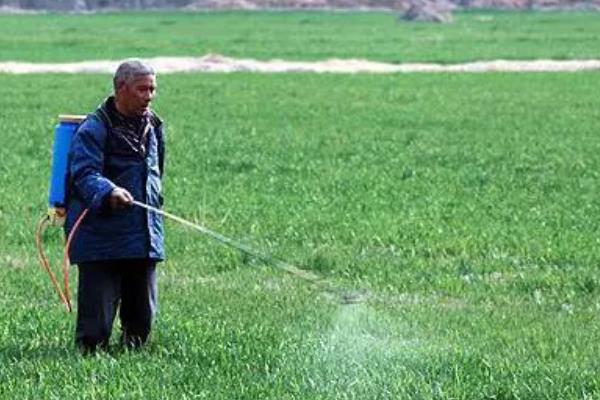 常见农药除草剂分类，可根据作用性质、作用方法等分类