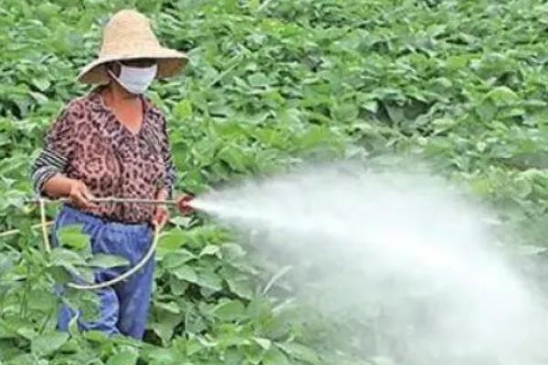 常见农药除草剂分类，可根据作用性质、作用方法等分类