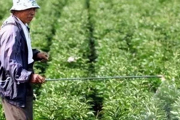 常见农药除草剂分类，可根据作用性质、作用方法等分类