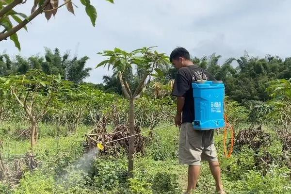 常见农药除草剂分类，可根据作用性质、作用方法等分类