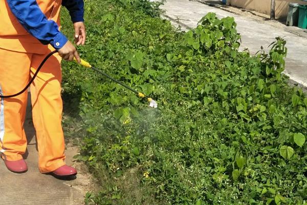 常见农药除草剂分类，可根据作用性质、作用方法等分类