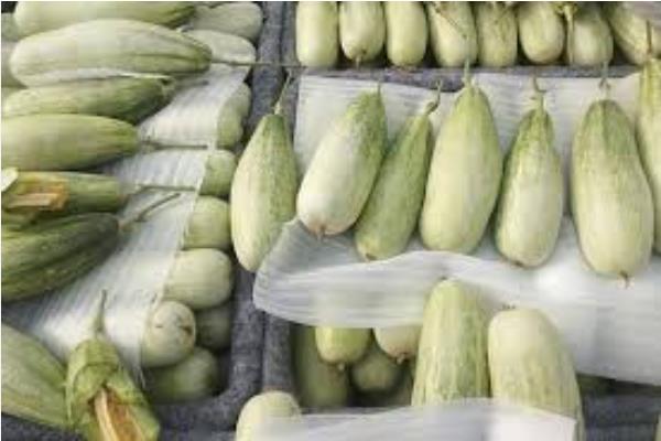 羊角蜜从开花到采摘要几天，从开花到采摘大概需要3-4个月