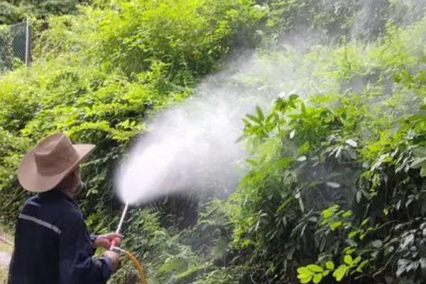 24滴酸草甘膦与草甘膦哪个更安全，24滴酸草甘膦会比较安全