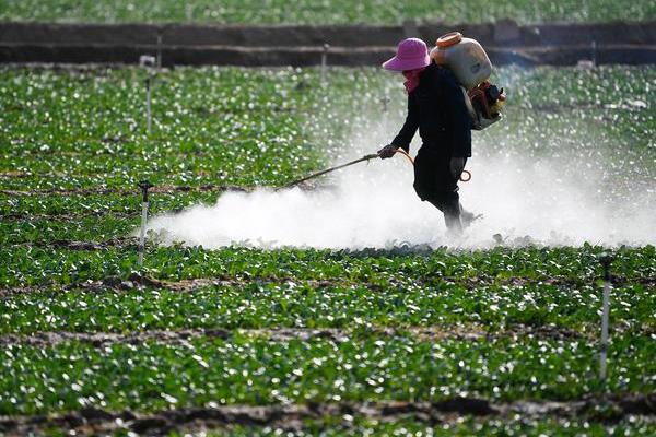 24滴酸草甘膦与草甘膦哪个更安全，24滴酸草甘膦会比较安全