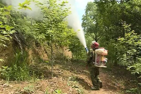 24滴酸草甘膦与草甘膦哪个更安全，24滴酸草甘膦会比较安全