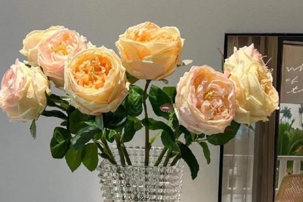 香槟玫瑰的花语，寓意心想事成、爱上你是我今生的幸福等