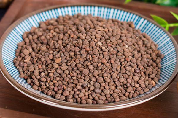 金凤花的病虫害防治方法，常见病虫害有霜霉病、白粉病等