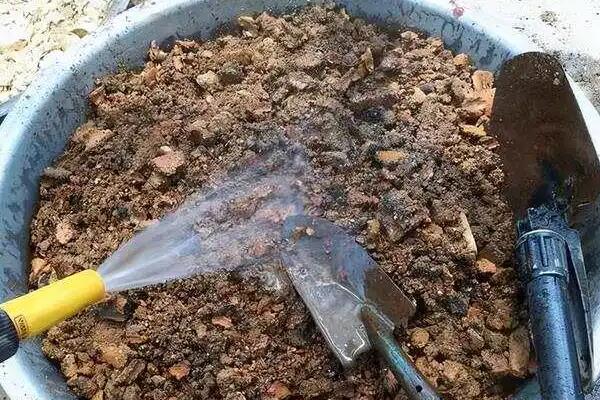 多肉法师的养殖方式，在生长期要确保给它充足的光照