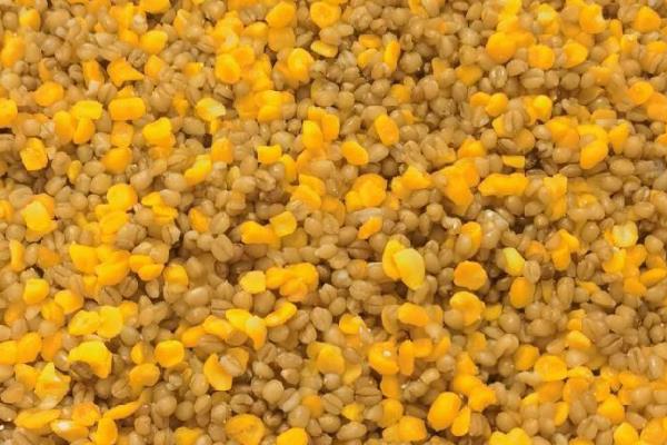 水库钓鲫鱼的打窝方法，选择窝料确定位置后再抛投
