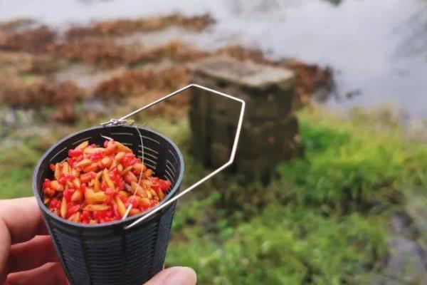 水库钓鲫鱼的打窝方法，选择窝料确定位置后再抛投
