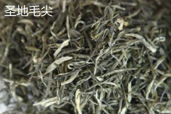 毛尖茶是绿茶吗，毛尖茶是绿茶