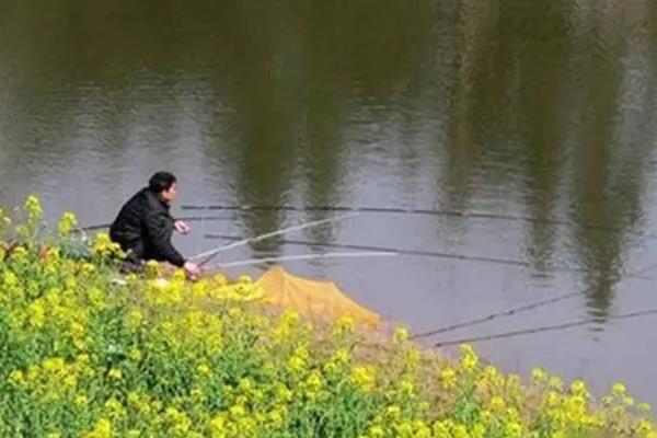 35度高温野河能钓鲫鱼吗，不太适合钓鲫鱼