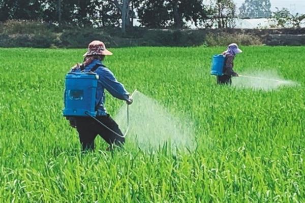 谷子除草适合用什么除草剂，一般会选择扑乙悬浮剂