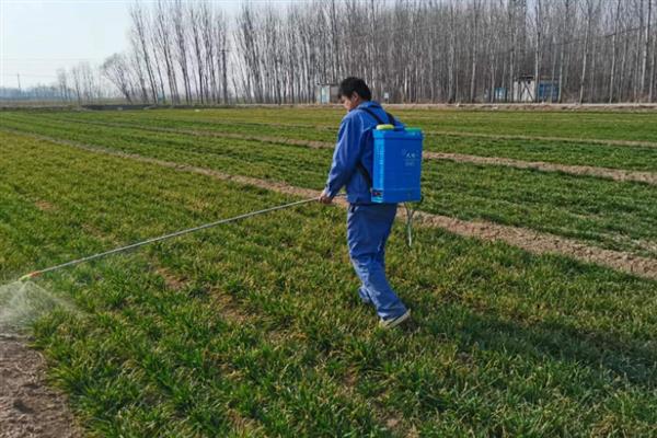 谷子除草适合用什么除草剂，一般会选择扑乙悬浮剂