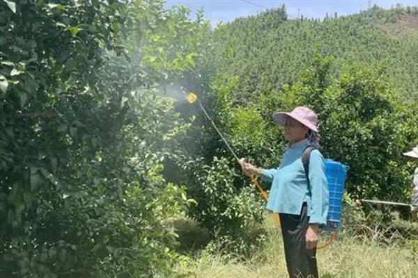 阿司匹林对植物有什么作用，可延长花期、增加叶色、加快生根发芽的速度