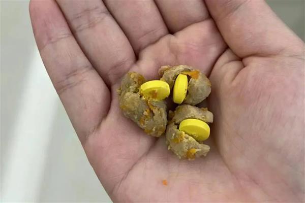 给狗狗喂药的方法，以下4种方式可以选择