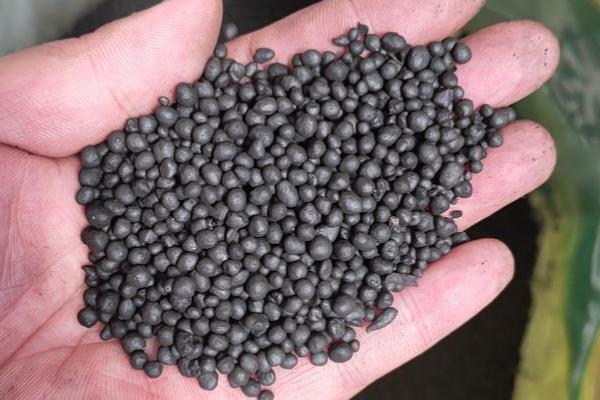 秋播作物怎么使用微肥，浸种、拌种、喷施、土施均可采用