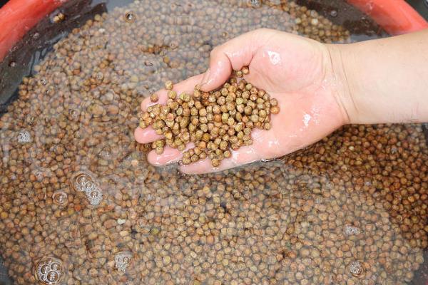 秋播作物怎么使用微肥，浸种、拌种、喷施、土施均可采用