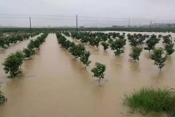 北方的农事活动，主要有耕地、施肥、播种等