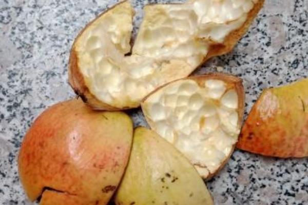 石榴皮能否当作花肥，经过发酵便可作为肥料使用