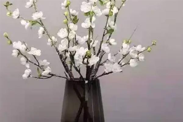 腊梅鲜花的养殖方法，每隔3天换一次水