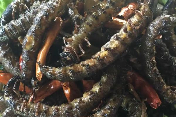 湘西特色美食和土特产，有古丈毛尖、血粑鸭等