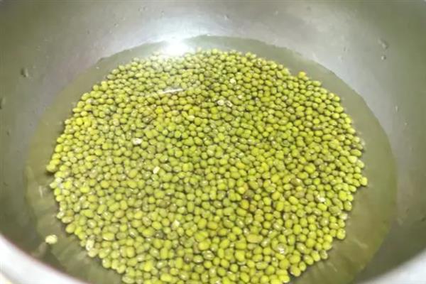 在什么土里种芽苗菜好，在沙壤土里种芽苗菜最好