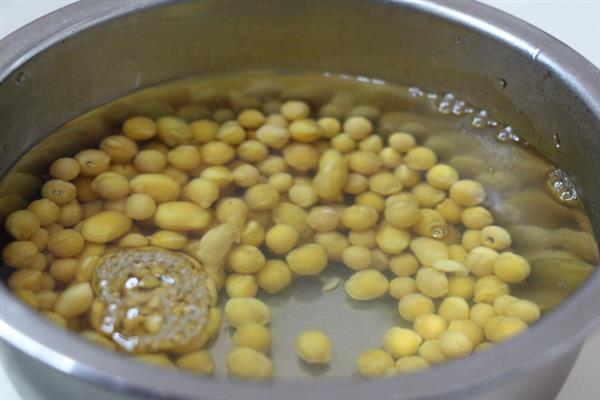 在什么土里种芽苗菜好，在沙壤土里种芽苗菜最好