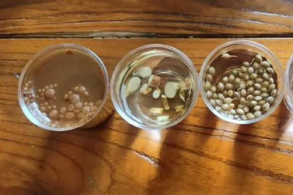 在什么土里种芽苗菜好，在沙壤土里种芽苗菜最好