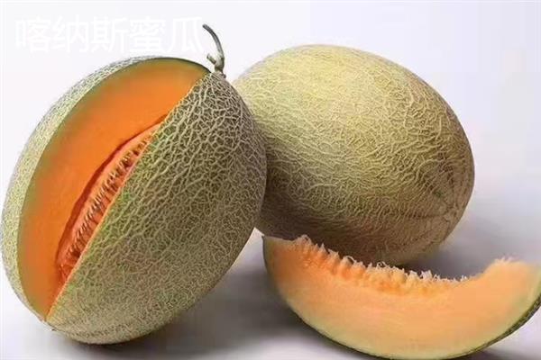 新疆阿拉尔市的特产，大尾羊深受游客青睐