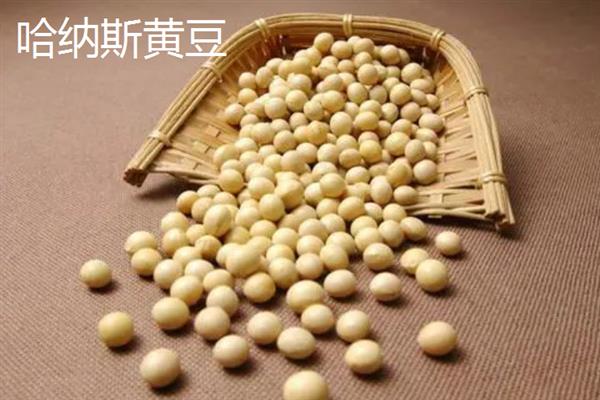 新疆阿拉尔市的特产，大尾羊深受游客青睐