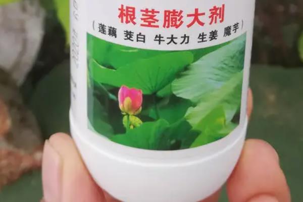 山药如何种植，种植前山药段需放在多灵菌药液中浸泡