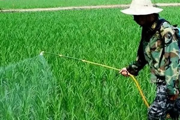 如何正确使用生物农药，应在傍晚或阴天进行