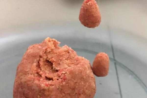 野河夜钓适合用什么饵料，可选择自然饵料或商品饵料
