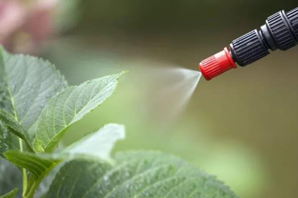 如何正确使用生物农药，应在傍晚或阴天进行