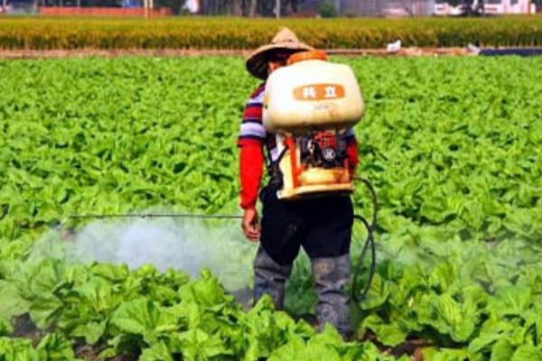 洗菜机能去除农药吗，可以去除85%以内的农药杂质