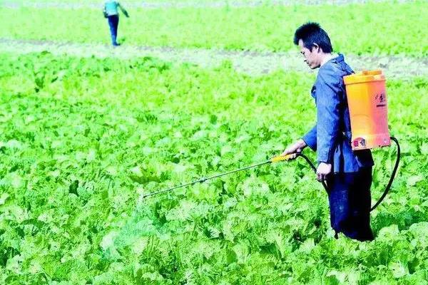 洗菜机能去除农药吗，可以去除85%以内的农药杂质