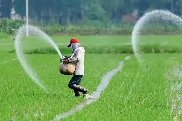 水稻的生活环境特点，温度保持在30-32℃之间为佳
