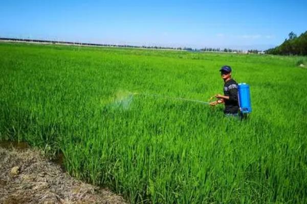 打除草剂要多少度才合适，气温通常处于10°C左右合适
