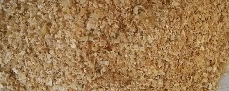 玉米饲料主要提供哪种营养，可为畜禽提供能量