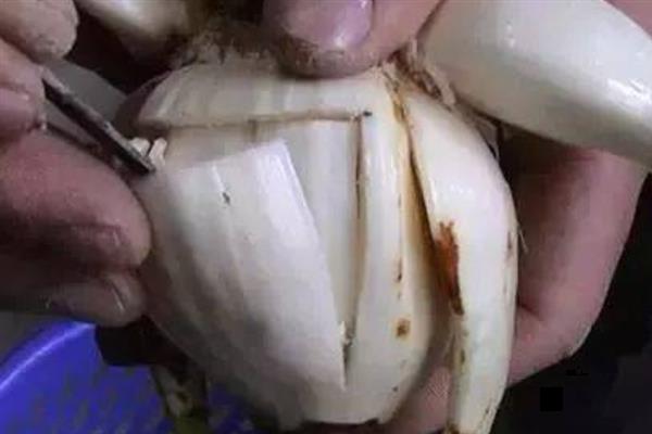 怎么养殖水仙花，可根据土壤的干湿程度进行浇水