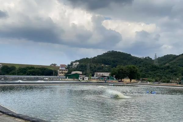罗非鱼的养殖要点，需定期给池塘内增氧