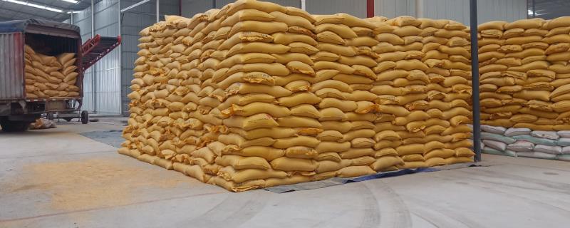 猪饲料添加剂的使用注意事项，加水拌合时水温不得超过60℃