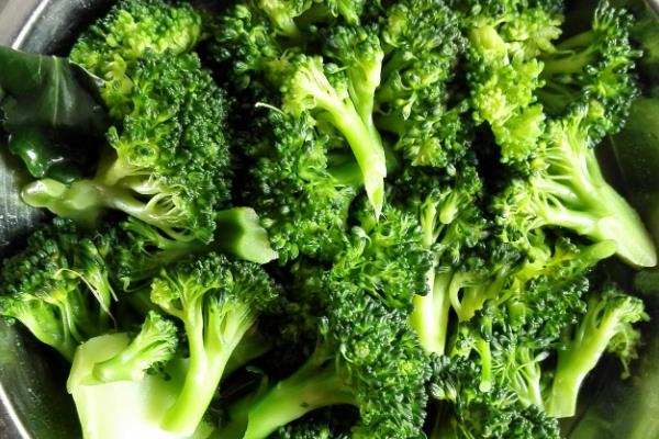 猫咪能吃以及不能吃哪些食物，胡萝卜和三文鱼等食物有益健康、牛油果和洋葱等食物禁喂