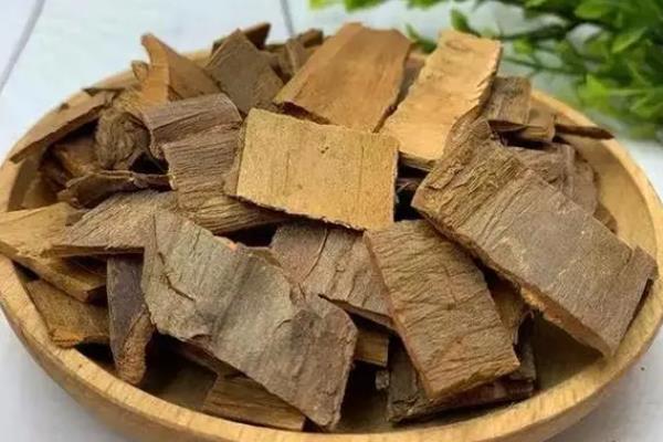 杉木的价值，可用于建筑、造船、制药等