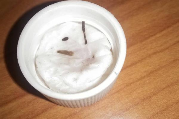 蛇目菊的播种繁殖方法，春季和秋季均可进行