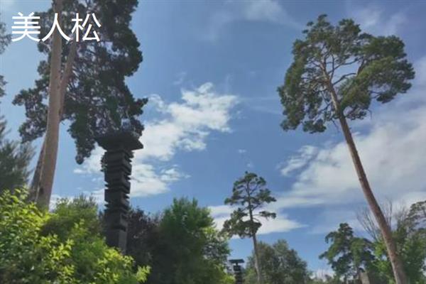 吉林省和龙市的特产，和龙大米畅销全国